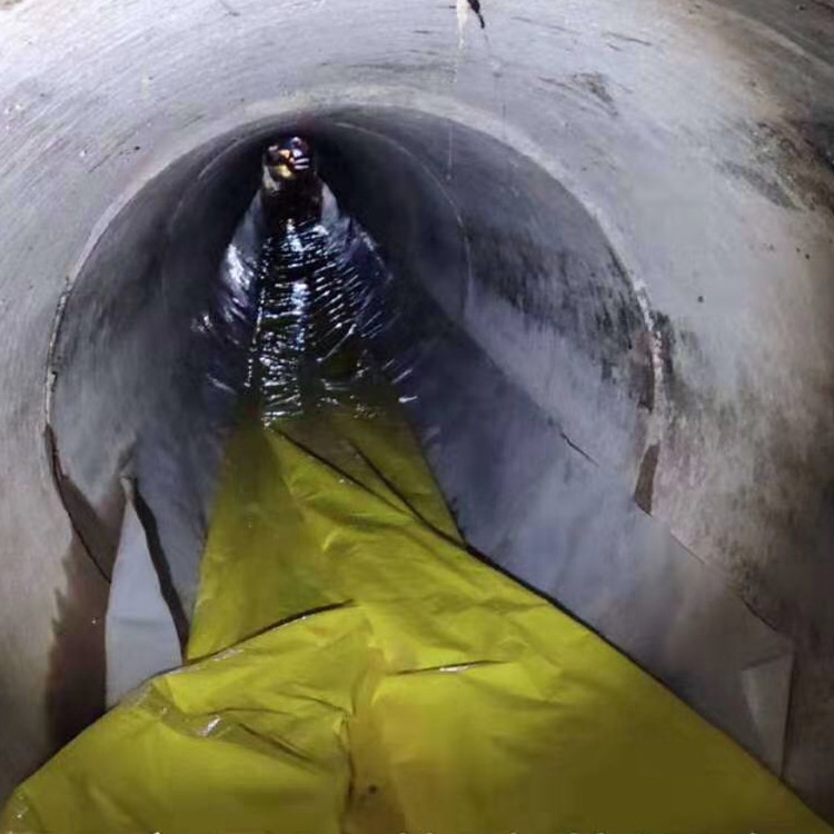 通山管道光固化修复